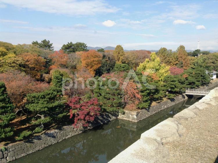 二条城の外堀の秋の紅葉 風景,自然,旅の写真素材