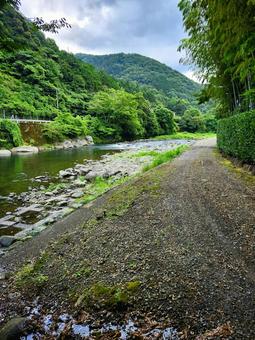 清流 清流 自然,景色,樹木の写真素材