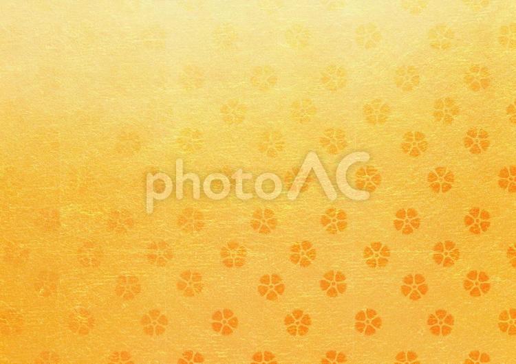 金箔と桜 背景,紙,テクスチャの写真素材