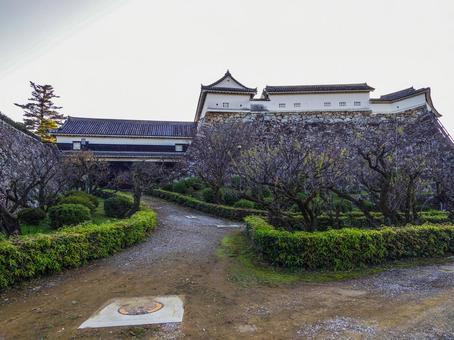 【高知県】高知市・高知城 高知城,高知公園,詰門の写真素材