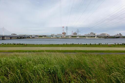 荒川 河川敷 荒川 河川敷の写真