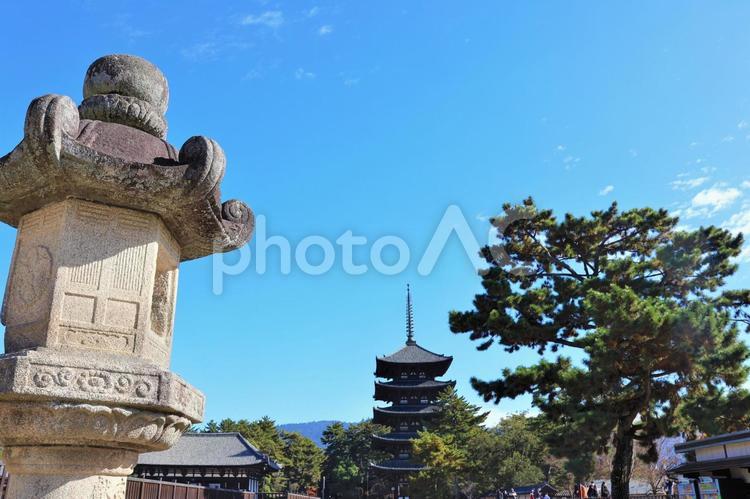 １１月下旬の奈良興福寺の風景 背景,興福寺,寺の写真素材