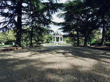並木越しの鶴舞公園奏楽堂3 鶴舞公園,奏楽堂,名古屋市の写真素材