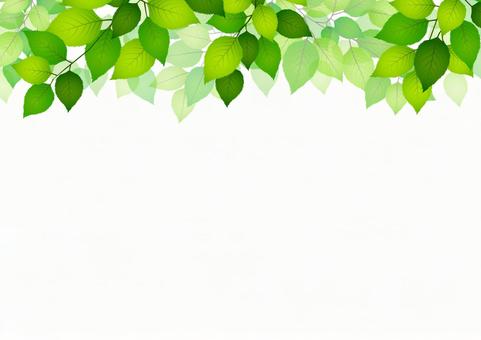 Leaf background / frame, ফ্রেম, গ্রীষ্ম, গাছের পাতা, JPG