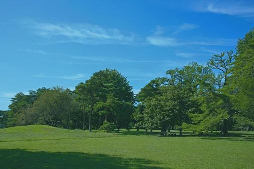 緑の公園 緑の公園 公園,森,緑の写真素材