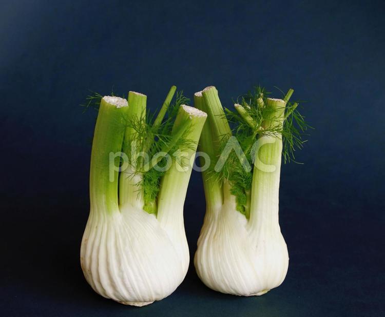 ヘルシーなイタリア野菜　ウイキョウ イタリア野菜,ウイキョウ,フェンネルの写真素材
