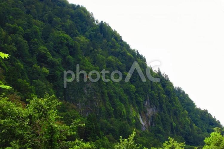 富山県-悪城の壁 悪城の壁,断崖,絶壁の写真素材