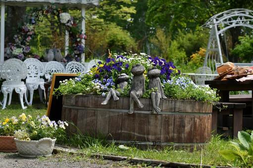 ガーデン ガーデン ガーデン,カエル,寄せ植えの写真素材