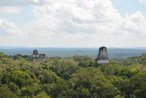 密林に浮かぶティカル遺跡 ティカル遺跡,マヤ文明,遺跡の写真素材