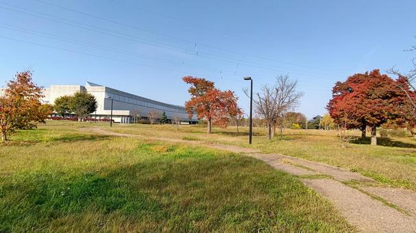盛岡、秋の公園 公園,盛岡市中央公園,秋の写真素材