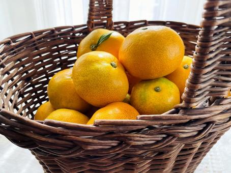 カゴに入ったミカン みかん,ミカン,蜜柑の写真素材