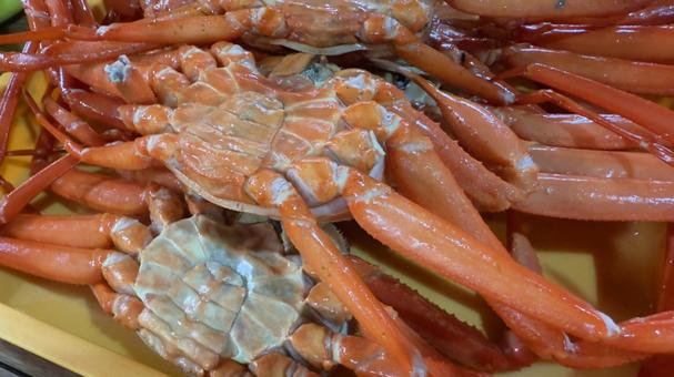 日本海で撮れたカニ 新鮮でこれから調理 日本海で撮れたカニ 新鮮でこれから調理の写真
