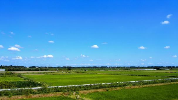 秋の利根川付近・田園風景(千葉県・柏市) 秋の利根川付近・田園風景(千葉県・柏市)の写真