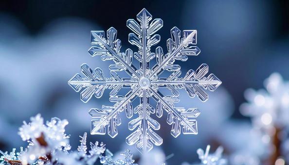 美しい雪の結晶 青白い背景 冬の象徴 美しい雪の結晶 青白い背景 冬の象徴の写真