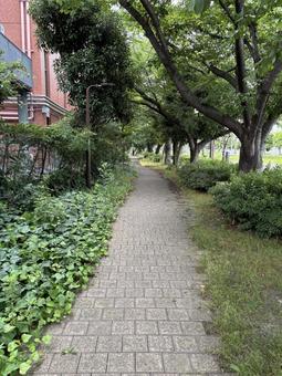 歩道 歩道の写真