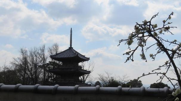 Photo, yamazaki battlefield, battle of yamasaki, toyotomi hideyoshi, 