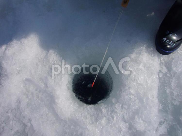 ワカサギ釣り わかさぎ,ワカサギ,わかさぎ釣の写真素材