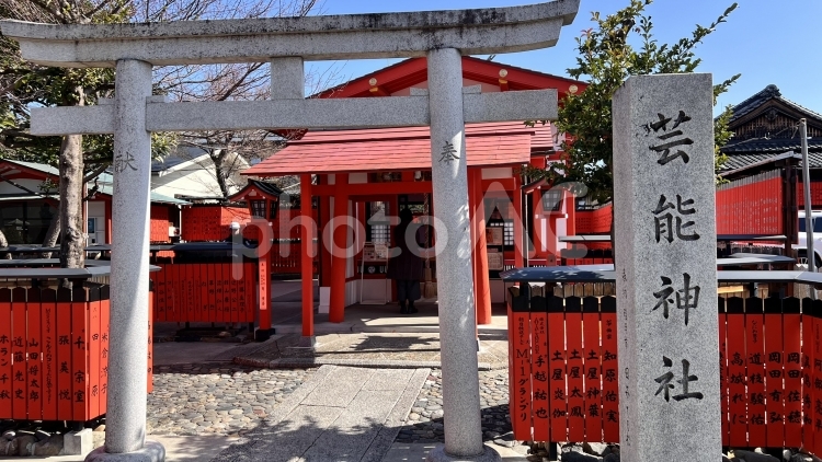 朝の芸能神社２ 朝,京都,散歩の写真素材