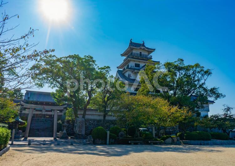 今治城と吹揚神社 吹揚神社,鳥居,神社の写真素材