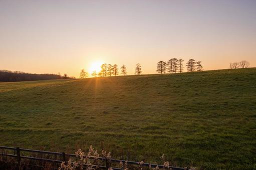 地平線に沈む夕日が照らす別海町の牧草地 丘,樹木,光芒の写真素材