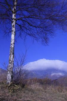 青空 青空の写真