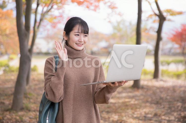 秋の公園でパソコンを使う女性 テレワーク,ノートパソコン,リモートワークの写真素材