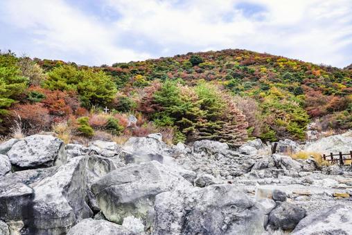 雲仙地獄と紅葉した山 雲仙,雲仙地獄,温泉の写真素材
