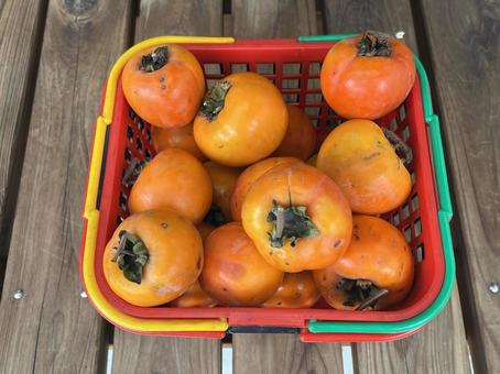 柿 柿,果物,橙色の写真素材