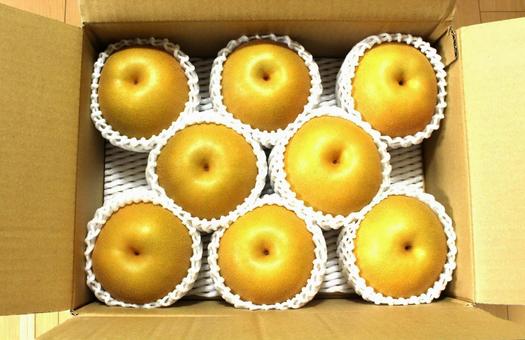 箱入りの梨 箱入りの梨 秋,梨,秋の味覚の写真素材