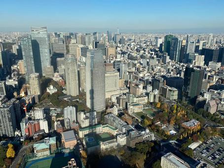 東京のビル群 東京,都会,都心の写真素材