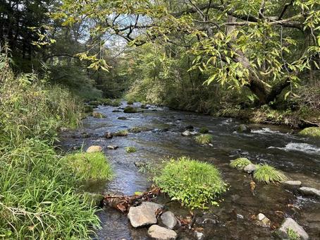 湯川(軽井沢)秋 湯川(軽井沢)秋 湯川,軽井沢,秋の写真素材