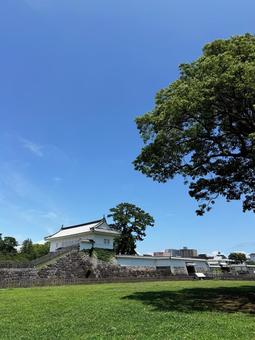 青空と城 青空と城 城,空,木の写真素材