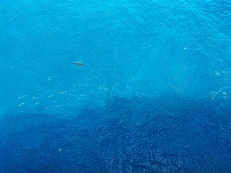 夏の海 海,沖縄,与論島の写真素材