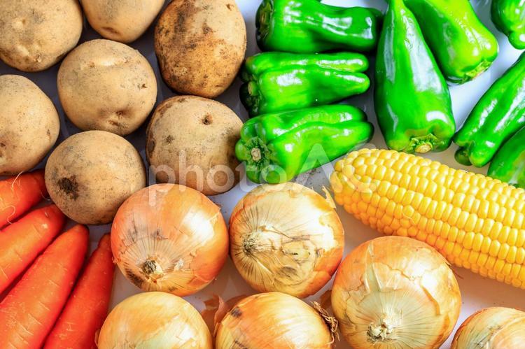 たくさんの野菜 野菜,じゃがいも,にんじんの写真素材
