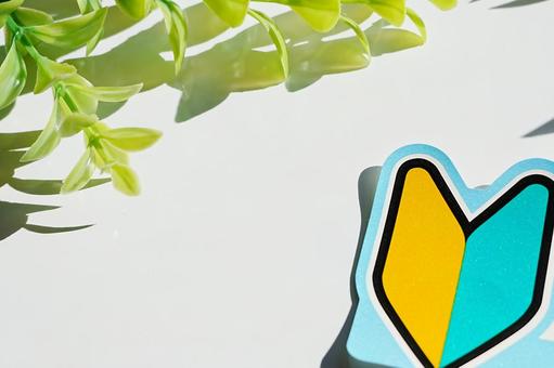 初心者マーク 初心者安全運転中,お先にどうぞ,初心者マークの写真素材