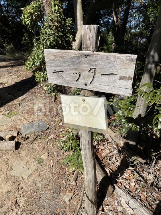 ヤッター【登山・看板・山登り】 登山,山登り,看板の写真素材