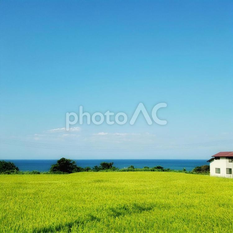 田舎の空と海の風景 田舎,ふるさと,故郷の写真素材