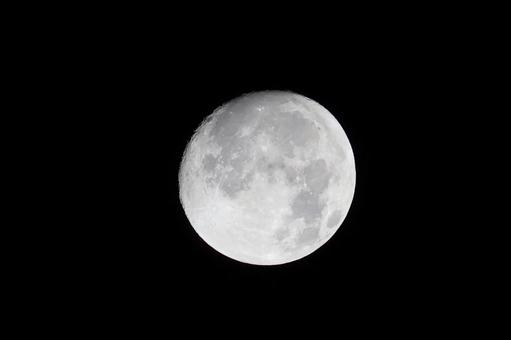 2025十五夜前夜の月 2025十五夜前夜の月 月,moon,月齢14の写真素材
