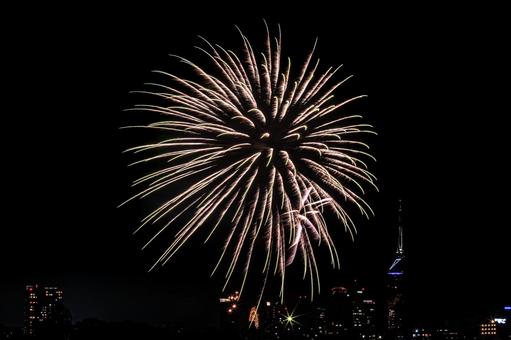 キラキラ輝く打ち上げ花火 キラキラ輝く打ち上げ花火 花火,打ち上げ花火,打上花火の写真素材