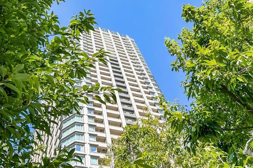 スッキリとした都心のスタイリッシュなビル 高層ビル,オフィスビル,マンションの写真素材