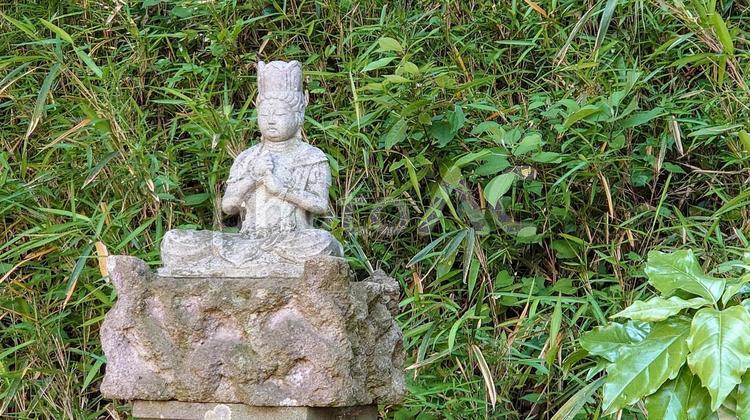 草木の中の石仏 石仏,仏像,草木の写真素材