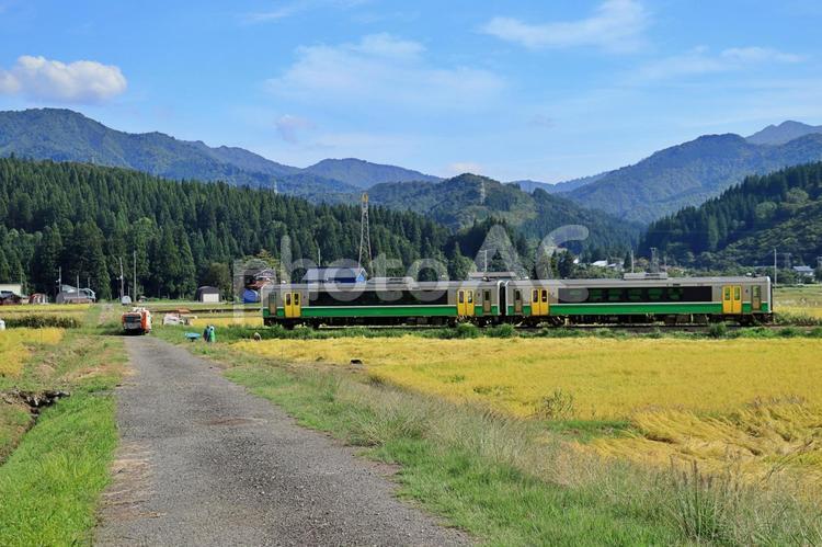 稲穂と電車 稲穂,田んぼ,田園風景の写真素材