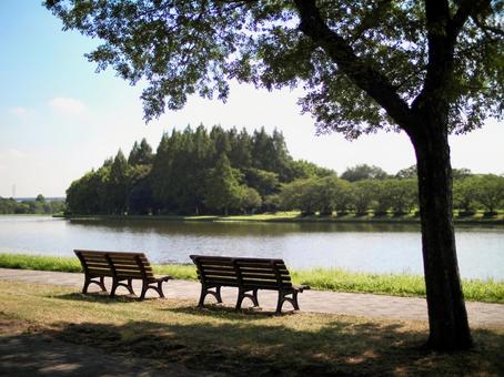 水元公園 水元公園の写真