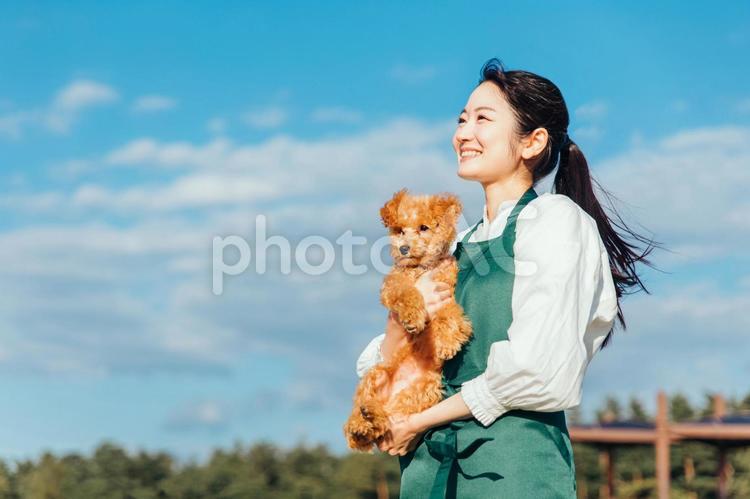 愛犬と遊ぶ女性 犬,ペット,動物の写真素材