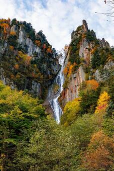 層雲峡の紅葉 層雲峡,紅葉,銀河の滝の写真素材