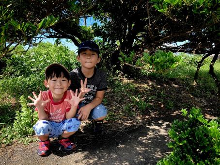 ＜素材＞新緑の森の中で遊ぶ男の子の兄弟 子供,新緑,森の写真素材