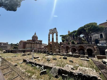 フォロ・ロマーノ フォロ・ロマーノ イタリア,建築物,古いの写真素材