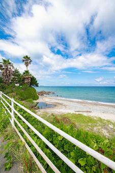 海岸通りから眺める夏の海 海岸通りから眺める夏の海 自然,風景,空の写真素材