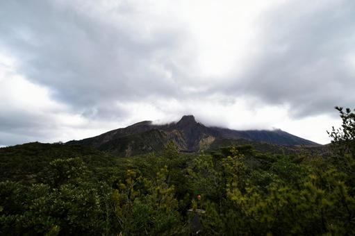活火山・桜島の迫力ある山体と噴煙﻿ 桜島,鹿児島,九州の写真素材