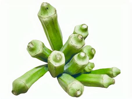 おくら おくら オクラ,夏,野菜の写真素材